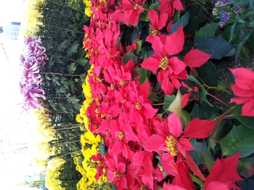 paransalg's profile picture. 