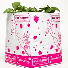 JoDaviesSIG's profile picture. Just sowing a seed in 2013 - the  revolutionary 100% Peat Free Grow Bag that really works!