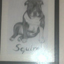 janet mcgregor - @jan3mcgregor - Twitter