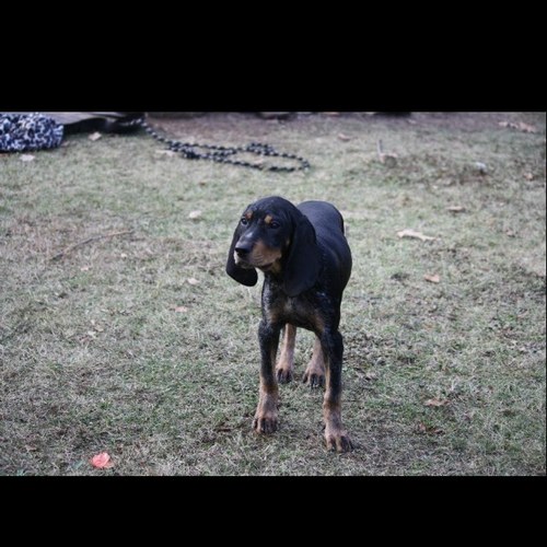 KalanderKiah's profile picture. 