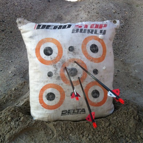 MAComeau31's profile picture. 