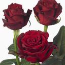 تفاؤل ~` (@0505mmmmm) Twitter