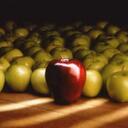 Robert Masters - @acvinegaruk - Twitter