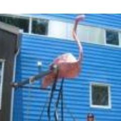 AustinArtistSLA's profile picture. University of Texas @Austin Austin Fine Art Oil Painting / Sculpture