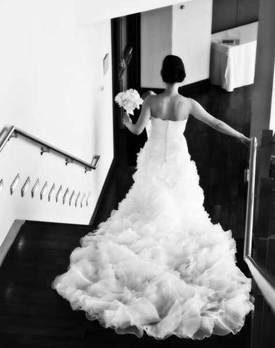 benviedstudio's profile picture. | floral art | event design | wedding planning |...celebrate your happy!