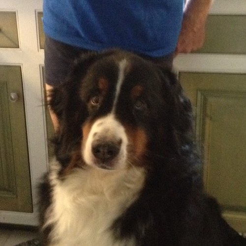 Muffin2659's profile picture. 