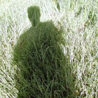 Stephen Zagerman (@zaj) 's Twitter Profile