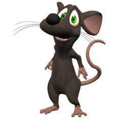 Pet mouse, deceased. Now living on the great cheeseboard in the sky.