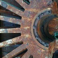 ConservationFis (@conservationfis) 's Twitter Profile
