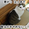 shim_tw's profile picture. 猫をこよなく愛する脳神経科学者です。デフォは脱抑制気味の下らないtweet垂れ流し、時々仕事の話も。
Key words: Molecular Neuro Imaging, Neurodegenerative Dementia