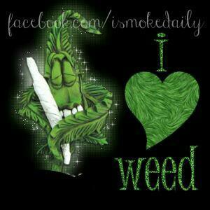 live life how you want to but most of all just love life