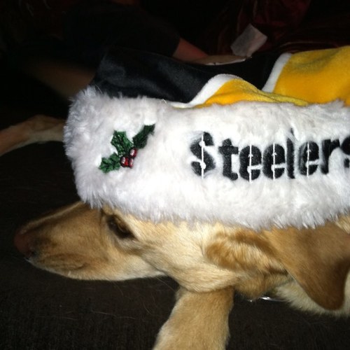 jsoeder1's profile picture. Vols and Pittsburgh Pro sports fan. Support Ukraine