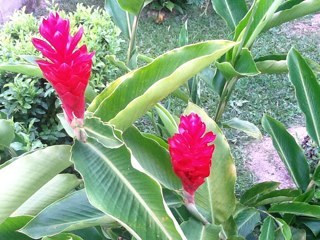 omora1960's profile picture. 