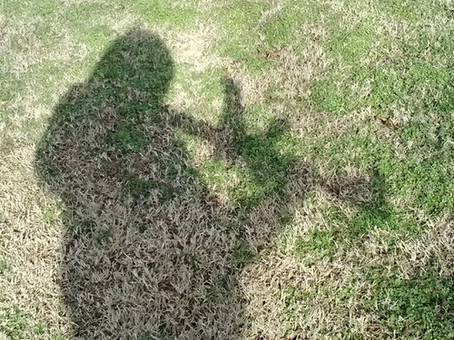 Brauer98's profile picture. #cars + #trucks + #Chevy + #outdoors + #offroad = #fun = #yolo