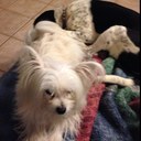 Eva Hart - @Eva_Marie62 - Twitter