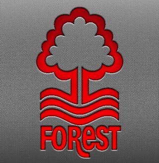 Forest mad since the 70s , season ticket holder upper trent end, husband and father to 3 brilliant children & tyson & bruno also mad gamer ! .