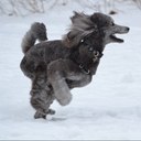 Nancy Laing Driver - @LaingMsd8 - Twitter