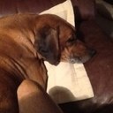 Pat Thorne - @Gillibrand29 - Twitter