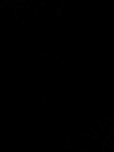 kingfitzyinop's profile picture. 