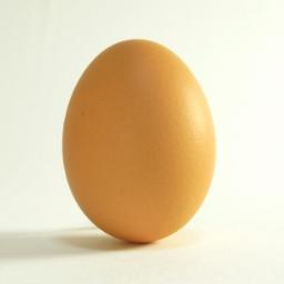 hiyokobabe's profile picture. とどめさ・せい