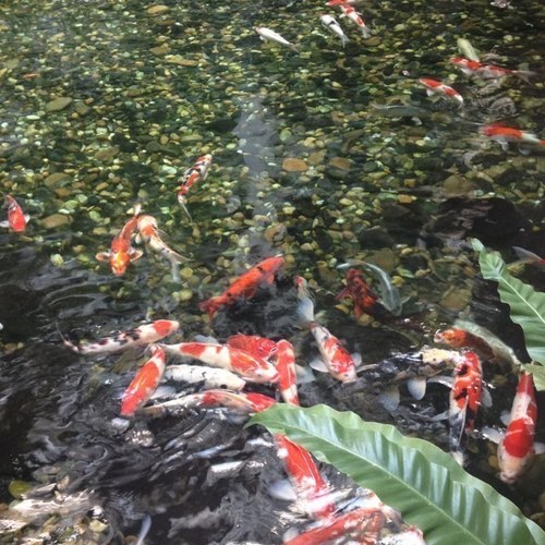 annhueaok390's profile picture. 