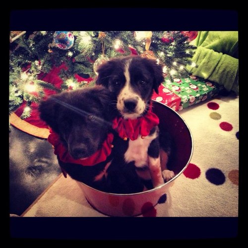 Sass84C's profile picture. 