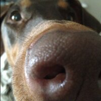 Dr. Wanda, CFA (@8bb8b8) 's Twitter Profile