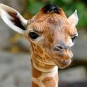 Jaimie bailey - @jaimie_bailey - Twitter