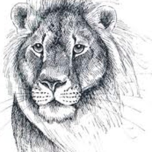 MeganLovezYew's profile picture. Love You Jack❤ @TheTarzanman is the best to be quite fucking honest❤