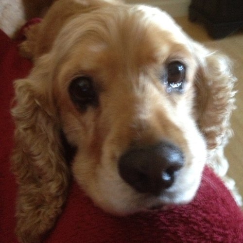 maribearj1's profile picture. 