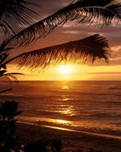 esportefc's profile picture. 