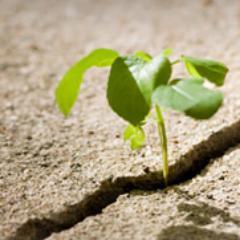 rettungseinsatz's profile picture. 