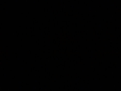 E2_Alshehri's profile picture. 