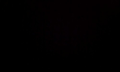 schnelkie's profile picture. 