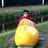 oregonkat's profile image