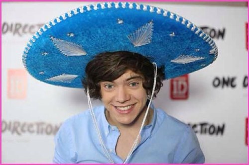 MusicalCraze's profile picture. I'm a super Ninja to be followed by everyone. xx

In Narnia :O