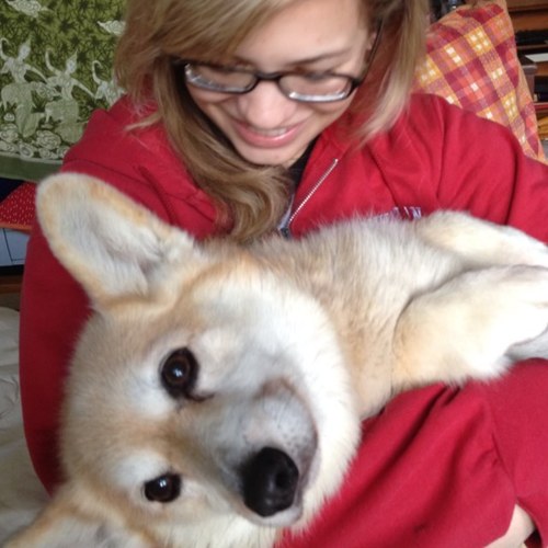 saraeven's profile picture. 