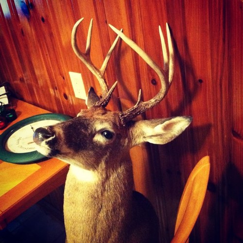 HuntingProbz's profile picture. 