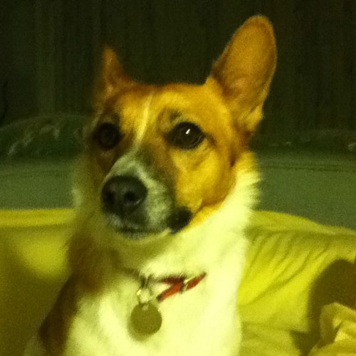 davechilds60's profile picture. 