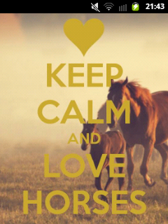 It's not al hobby, it's a lifestyle'3 paarden boven alles !