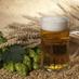 Insumos Cerveceros (@insumoscervecer) Twitter profile photo