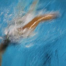 dariopuglia's profile picture. 