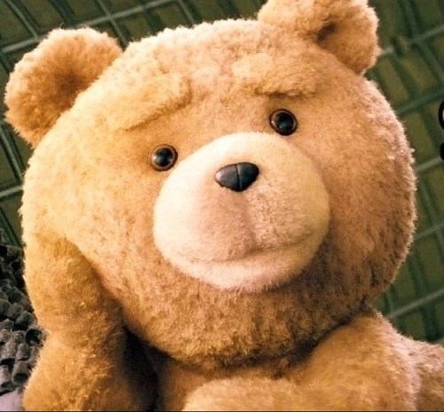 Humourland's profile picture. The funniest account on Twitter. Laughing for 10 minutes adds 1 day to your life. Follow us and you'll live forever!