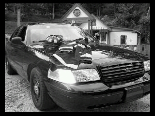 DavidJHayes2009's profile picture. 