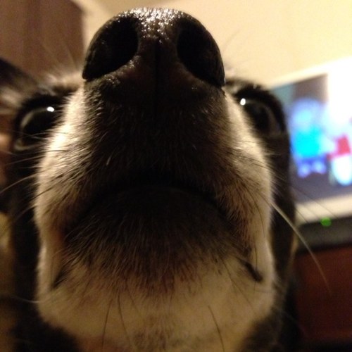 asnsensation's profile picture. 