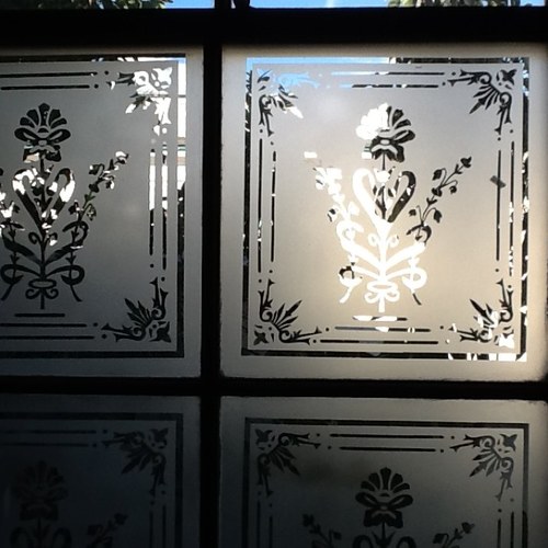 iaguilardexter's profile picture. Hacer lo mismo y esperar algo diferente es una locura...¡a menos que el caos habite en tu sistema!