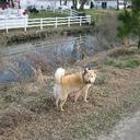 jacqueline Roach - @flick371 - Twitter