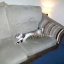 barry hood - @bazzerv6 - Twitter