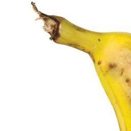 damienbreucker's profile picture. 