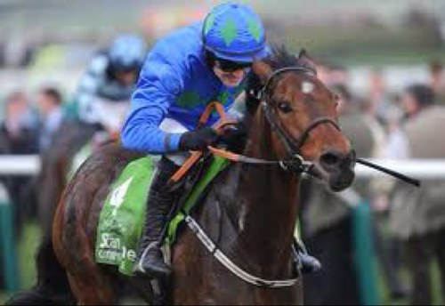 General fancies on horses. come follow us and interact with us. we love hearing who is beating the bookies!  https://t.co/vMzesDhaNo